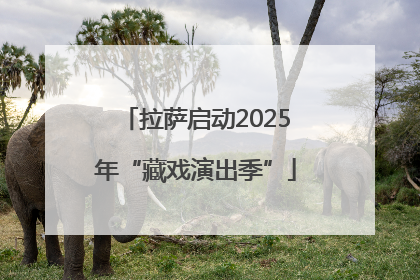 拉萨启动2025年“藏戏演出季”