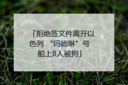 拒绝签文件离开以色列 “玛德琳”号船上8人被拘