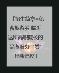 招生简章=免费旅游券 临沂这所高职院校的高考服务“卷”出新高度