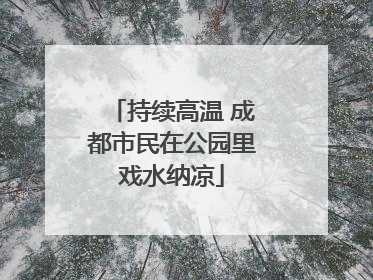 持续高温 成都市民在公园里戏水纳凉