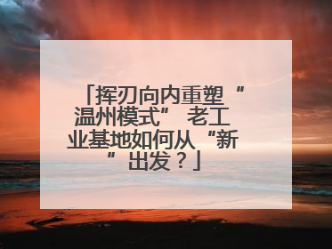 挥刃向内重塑“温州模式” 老工业基地如何从“新”出发？