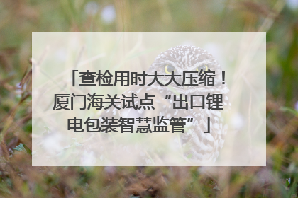 查检用时大大压缩！厦门海关试点“出口锂电包装智慧监管”