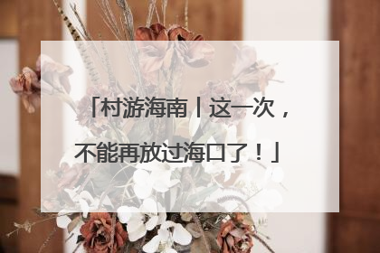 村游海南丨这一次，不能再放过海口了！