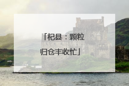 杞县：颗粒归仓丰收忙
