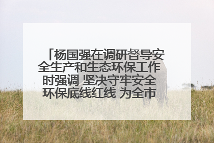 杨国强在调研督导安全生产和生态环保工作时强调 坚决守牢安全环保底线红线 为全市经济社会高质量发展提供坚强保障