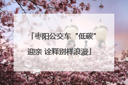枣阳公交车“低碳”迎亲 诠释别样浪漫