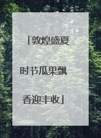 敦煌盛夏时节瓜果飘香迎丰收