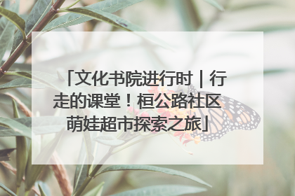 文化书院进行时｜行走的课堂！桓公路社区萌娃超市探索之旅