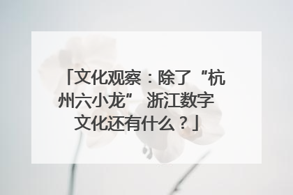 文化观察：除了“杭州六小龙” 浙江数字文化还有什么？
