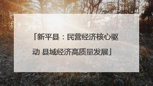 新平县：民营经济核心驱动 县域经济高质量发展