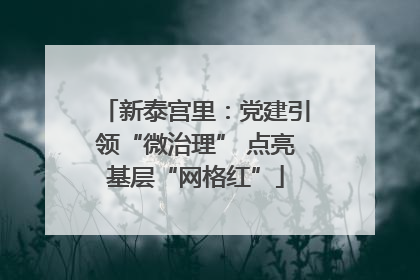 新泰宫里：党建引领“微治理” 点亮基层“网格红”