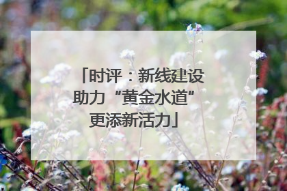 时评：新线建设助力“黄金水道”更添新活力