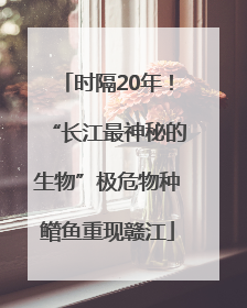 时隔20年！“长江最神秘的生物”极危物种鳤鱼重现赣江