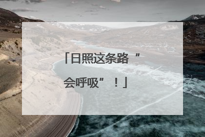 日照这条路“会呼吸”！
