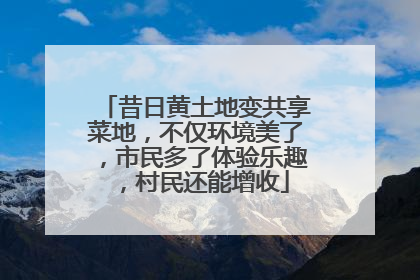 昔日黄土地变共享菜地，不仅环境美了，市民多了体验乐趣，村民还能增收
