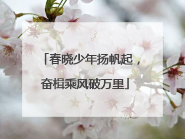 春晓少年扬帆起，奋楫乘风破万里