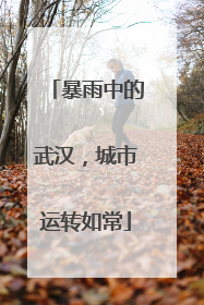 暴雨中的武汉，城市运转如常
