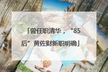 曾任职清华，“85后”黄佐财新职明确