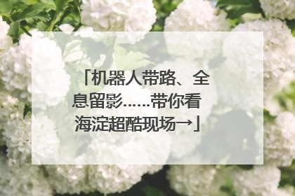 机器人带路、全息留影……带你看海淀超酷现场→