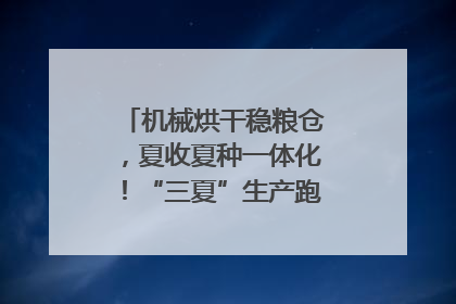 机械烘干稳粮仓，夏收夏种一体化！“三夏”生产跑出加速度｜麦报