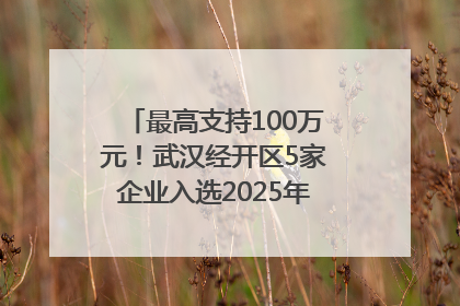 最高支持100万元！武汉经开区5家企业入选2025年度武汉市重点研发计划拟立项项目名单