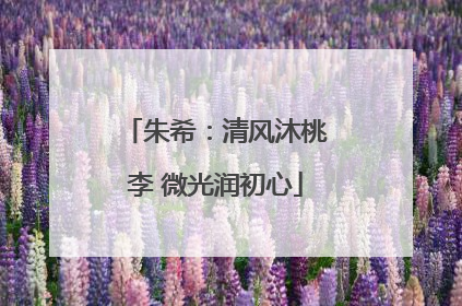 朱希：清风沐桃李 微光润初心