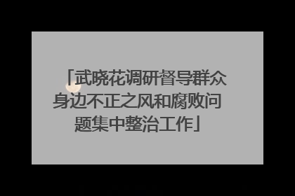 武晓花调研督导群众身边不正之风和腐败问题集中整治工作