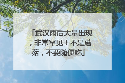 武汉雨后大量出现，非常罕见！不是蘑菇，不要随便吃