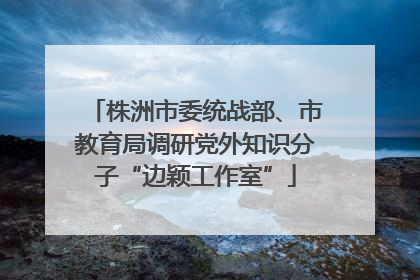 株洲市委统战部、市教育局调研党外知识分子“边颖工作室”