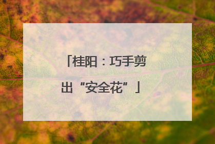 桂阳：巧手剪出“安全花”