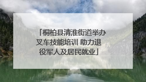 桐柏县清淮街道举办叉车技能培训 助力退役军人及居民就业