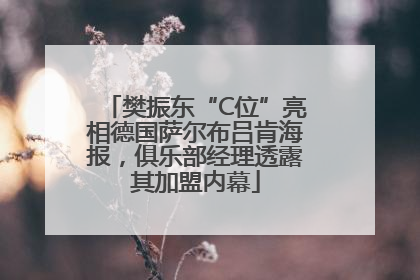 樊振东“C位”亮相德国萨尔布吕肯海报，俱乐部经理透露其加盟内幕