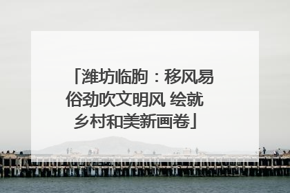 潍坊临朐：移风易俗劲吹文明风 绘就乡村和美新画卷
