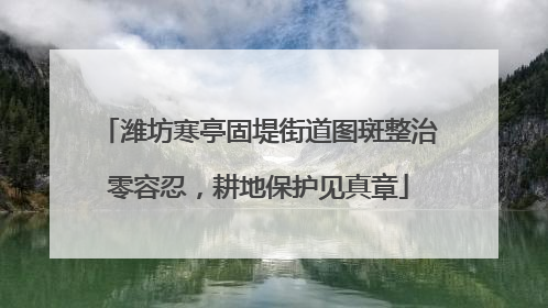 潍坊寒亭固堤街道图斑整治零容忍，耕地保护见真章