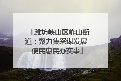 潍坊峡山区岞山街道：聚力集采谋发展 便民惠民办实事