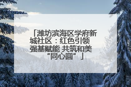 潍坊滨海区学府新城社区：红色引领 强基赋能 共筑和美“同心圆”