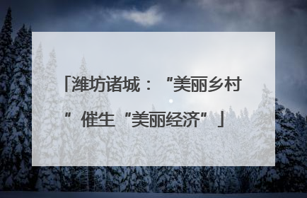 潍坊诸城：“美丽乡村”催生“美丽经济”
