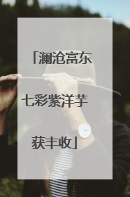 澜沧富东七彩紫洋芋获丰收
