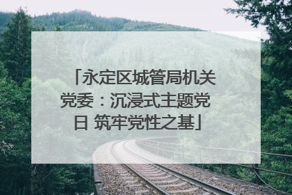 永定区城管局机关党委：沉浸式主题党日 筑牢党性之基