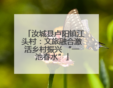 汝城县卢阳镇江头村：文旅融合激活乡村振兴 “一池春水”