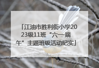 江油市胜利街小学2023级11班“六一·端午”主题班级活动纪实