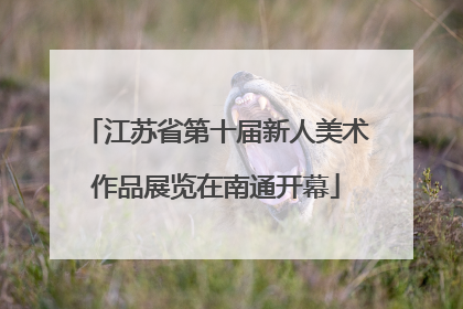 江苏省第十届新人美术作品展览在南通开幕
