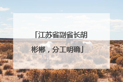 江苏省副省长胡彬郴，分工明确