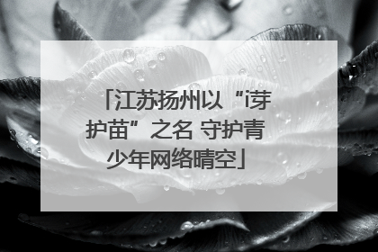 江苏扬州以“i芽护苗”之名 守护青少年网络晴空