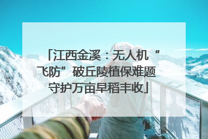 江西金溪：无人机“飞防”破丘陵植保难题 守护万亩早稻丰收