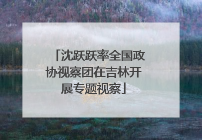 沈跃跃率全国政协视察团在吉林开展专题视察