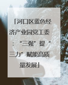 河口区蓝色经济产业园党工委：“三强”提“三力”赋能高质量发展