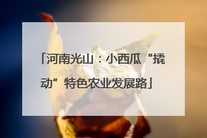 河南光山：小西瓜“撬动”特色农业发展路