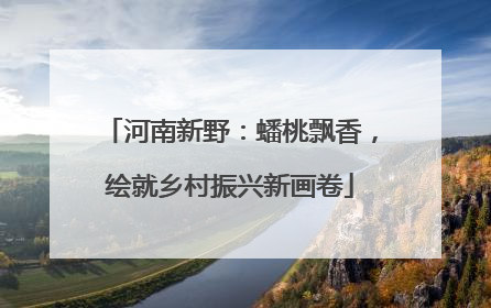 河南新野：蟠桃飘香，绘就乡村振兴新画卷