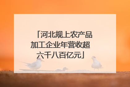 河北规上农产品加工企业年营收超六千八百亿元